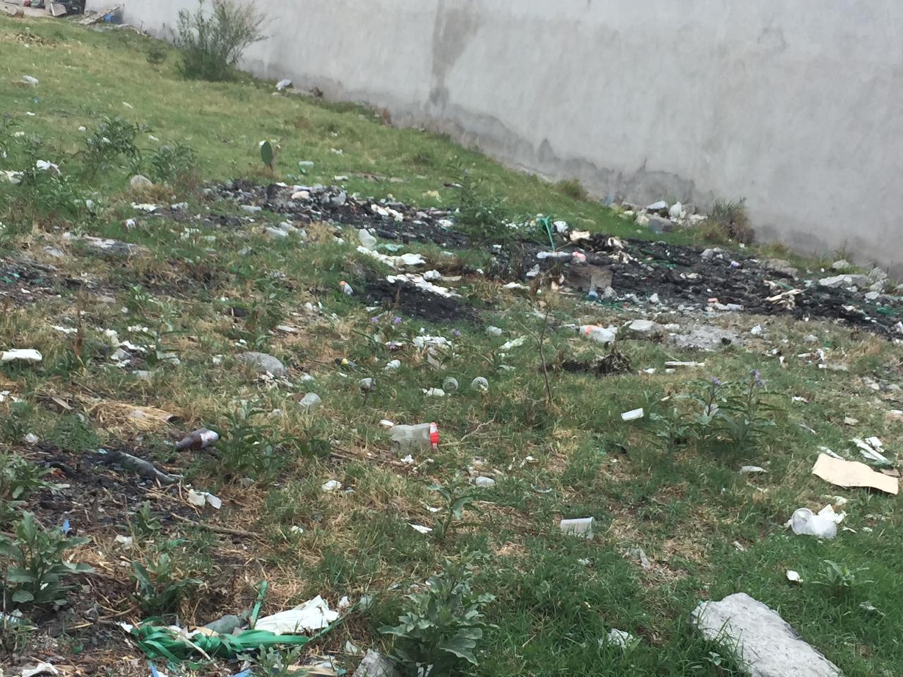 La contaminación ambiental